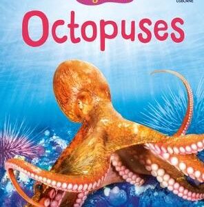 Beginners Octopuses