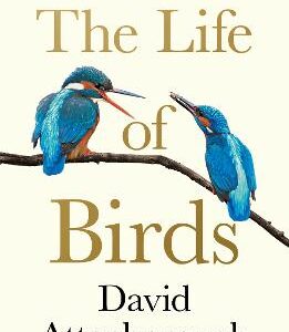The Life Of Birds
