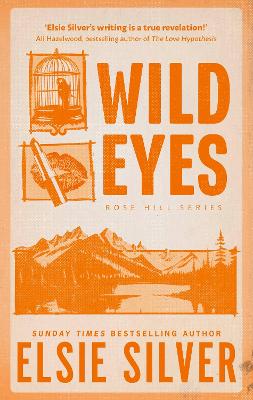 Wild Eyes: Discover The Instant Sunday Times Bestseller And Your Newest Small Town Romance Obsession!