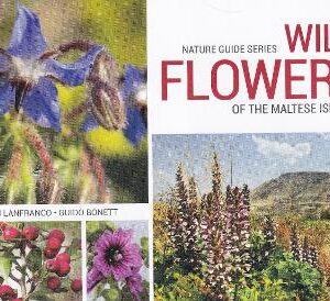 Wild Flowers Of The Maltese Islands: 2018