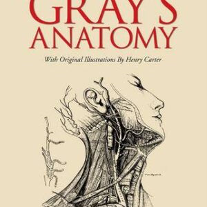 Grays Anatomy