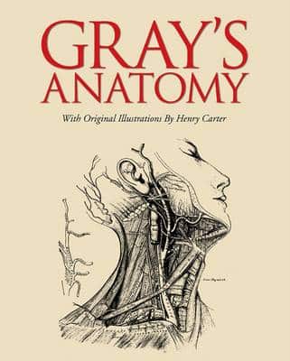 Grays Anatomy