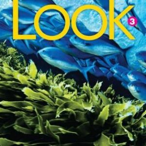 Look 3 (British English)