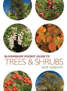 Pocket Guide To Trees And Shrubs