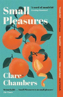 Small Pleasures: Longlisted For The Women's Prize For Fiction