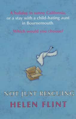 Not Just Rescuing
