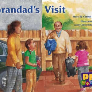 Grandad's Visit