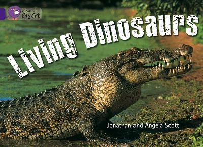 Living Dinosaurs Workbook (Collins Big Cat)
