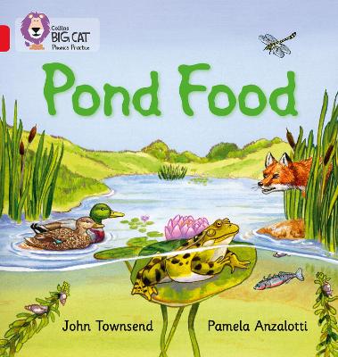 BIG CAT PHONICS POND FOOD RED 2B