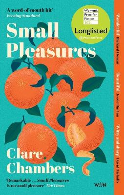 Small Pleasures: Longlisted For The Women's Prize For Fiction