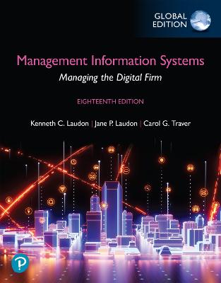 MANAGEMENT INFORMATION SYSTEM DIGITAL FI