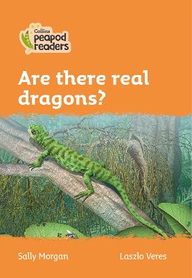 Are There Real Dragons?: Level 4 (Collins Peapod Readers)