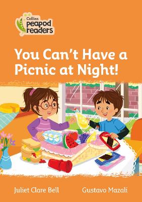 You Can't Have A Picnic At Night!: Level 4 (Collins Peapod Readers)