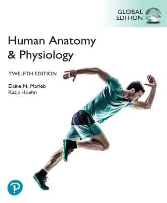HUMAN ANATOMY & PHYSIOLOGY GLOBAL ED