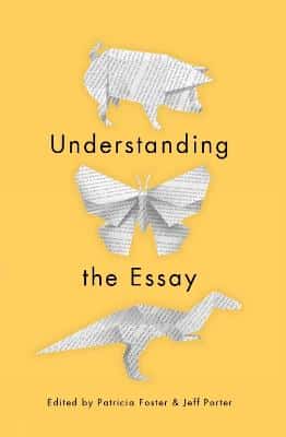 UNDERSTANDING THE ESSAY