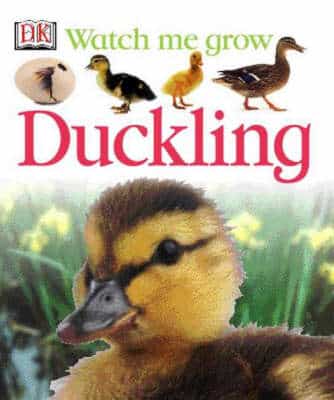 Duckling