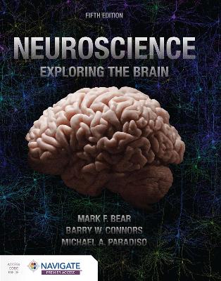 NEUROSCIENCE EXPLORING THE BRAIN
