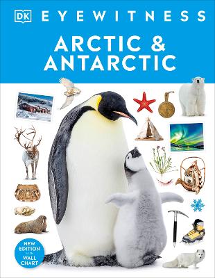Arctic And Antarctic