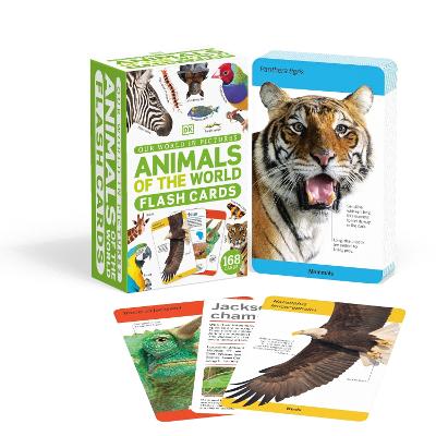Our World In Pictures Animals Of The World Flash Cards