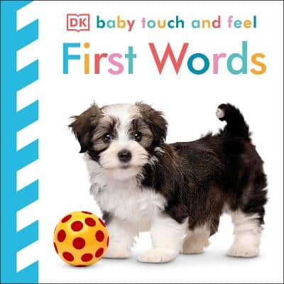 Baby Touch And Feel First Words: An Interactive Language Development Board Book