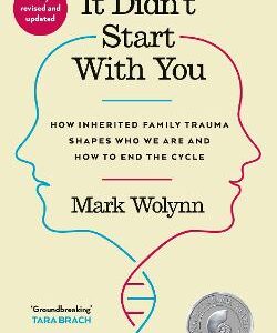 It Didn't Start With You: How Inherited Family Trauma Shapes Who We Are And How To End The Cycle