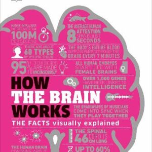 How The Brain Works: The Facts Visually Explained