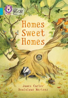 BIG CAT HOMES SWEET HOMES