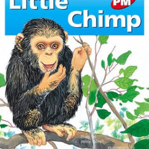 Little Chimp