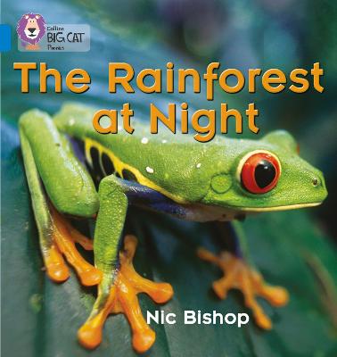The Rainforest At Night: Band 04/Blue (Collins Big Cat Phonics)