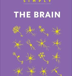 Simply The Brain