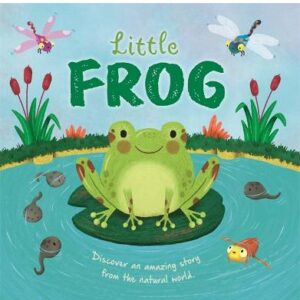 Little Frog