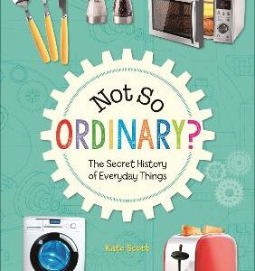 Reading Planet Ks2 - Not So Ordinary? - The Secret History Of Everyday Things - Level 4: Earth/Grey Band