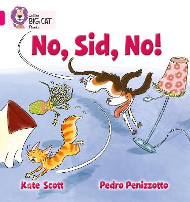 BIG CAT PHONICS NO SID NO BAND 1B PINK