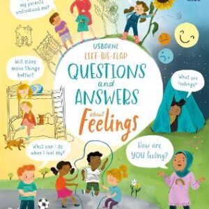 Lift-The-Flap Questions And Answers About Feelings