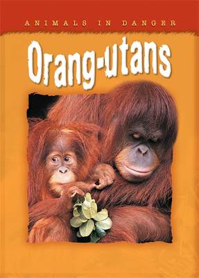 Animals In Danger: Orang-Utans
