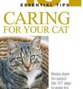 Caring For Your Cat