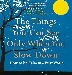 The Things You Can See Only When You Slow Down: How To Be Calm In A Busy World
