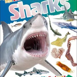 Dkfindout! Sharks