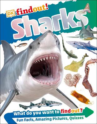 Dkfindout! Sharks