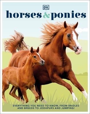 Horses & Ponies: Everything You Need To Know, From Bridles And Breeds To Jodhpurs And Jumping!