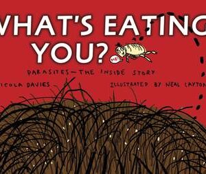 What's Eating You?