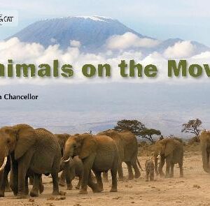 Animals On The Move: Band 12/Copper (Collins Big Cat)