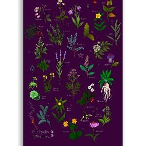Anna Stead: For Spells & Potions (Soft Touch Journal)