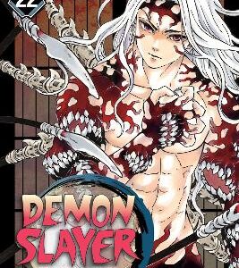 Demon Slayer: Kimetsu No Yaiba, Vol. 22: The Wheel Of Fate: Volume 22