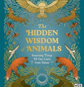 The Hidden Wisdom Of Animals: Surprising Things We Can Learn From Nature