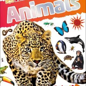 Dkfindout! Animals