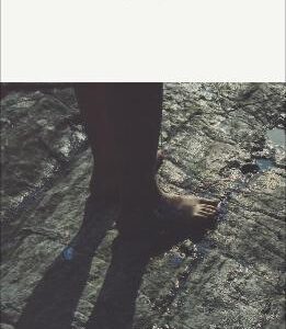 The Fall