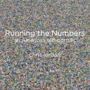 Running The Numbers: An American Self-Portrait