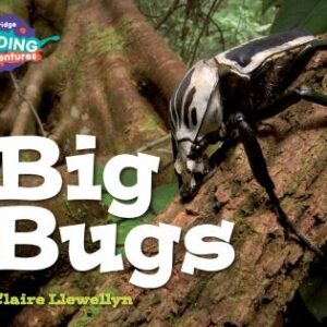 Cambridge Reading Adventures Big Bugs Green Band