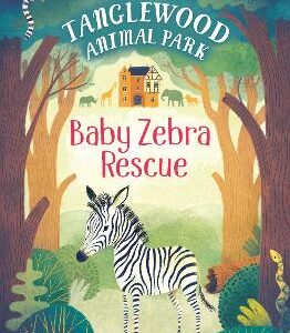 Baby Zebra Rescue